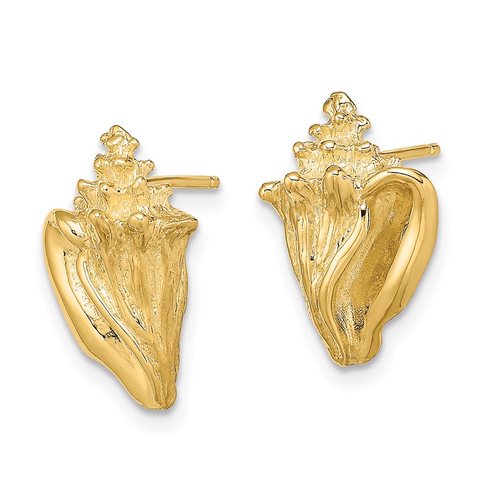 14K 2-D Conch Shell Post Earrings (TE815)