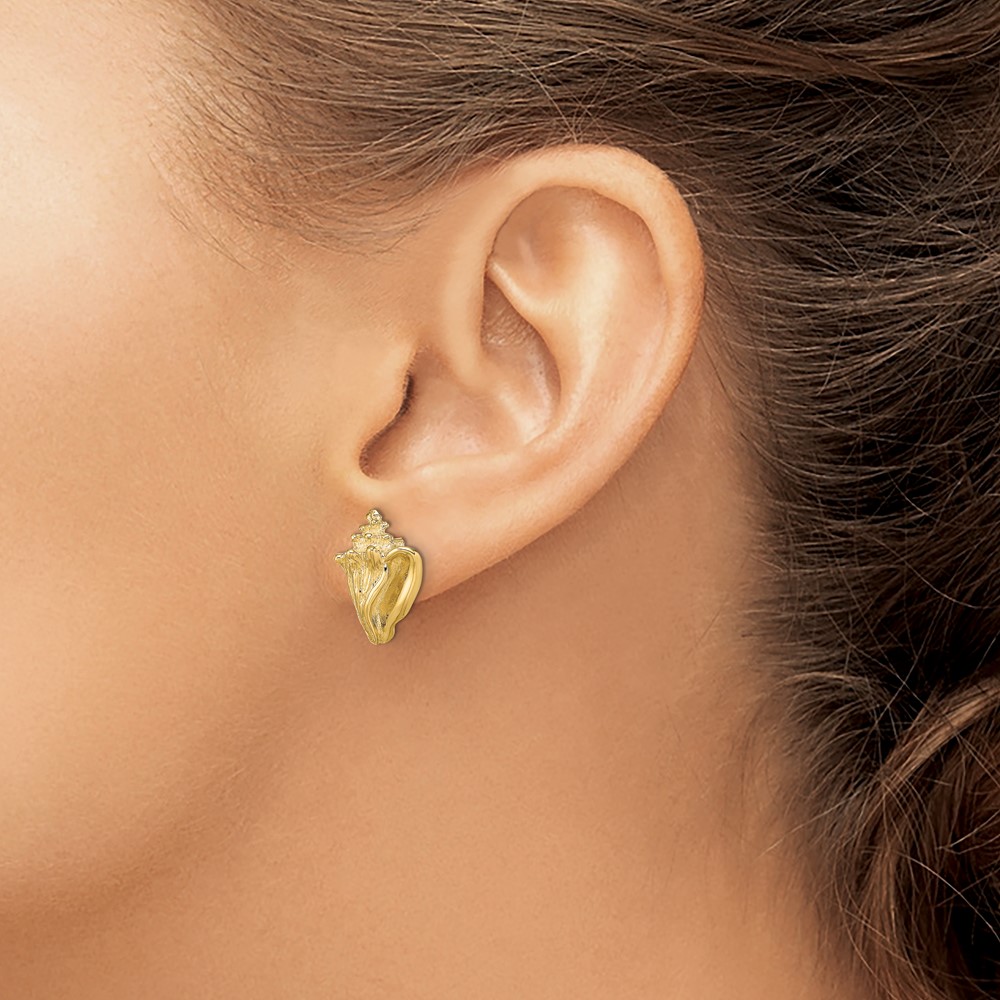 14K 2-D Conch Shell Post Earrings (TE815)