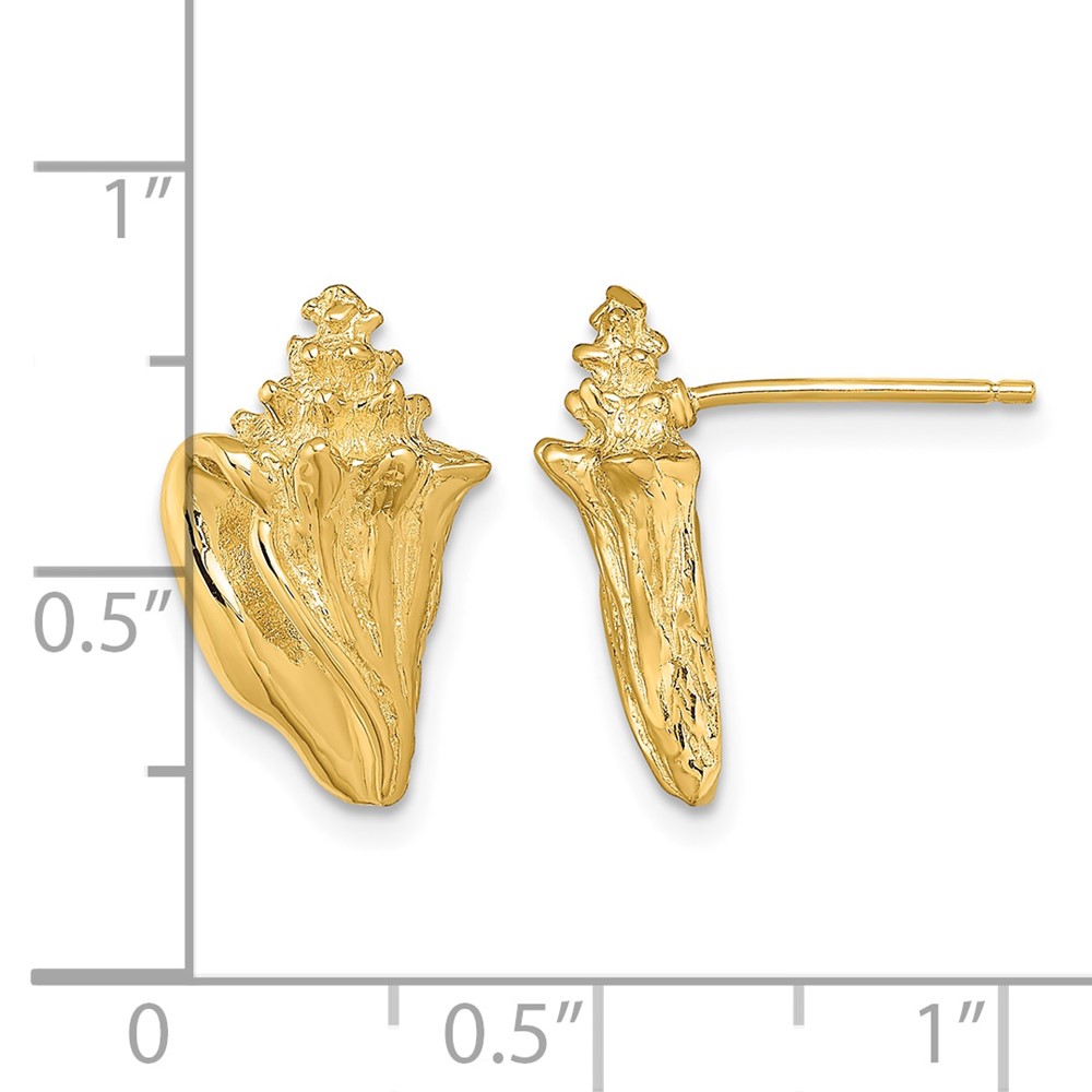 14K 2-D Conch Shell Post Earrings (TE815)