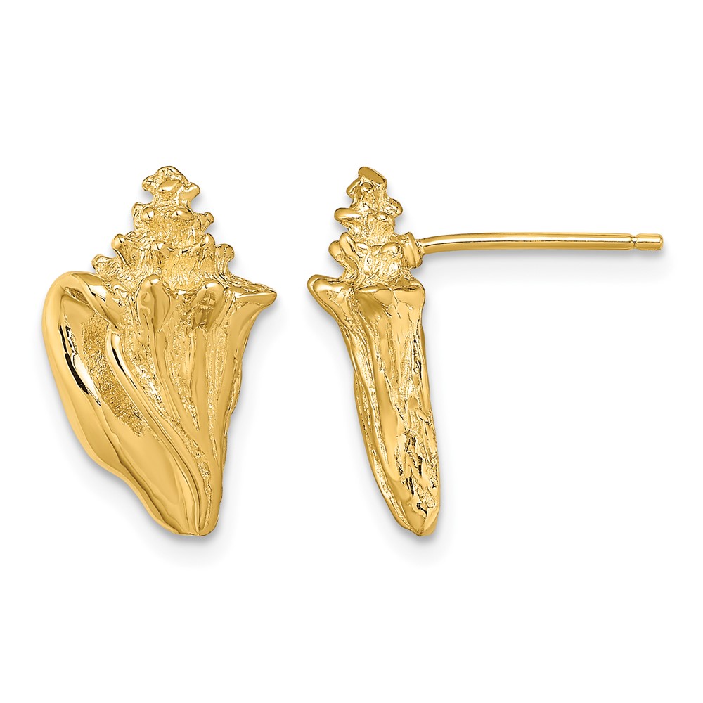 14K 2-D Conch Shell Post Earrings (TE815)