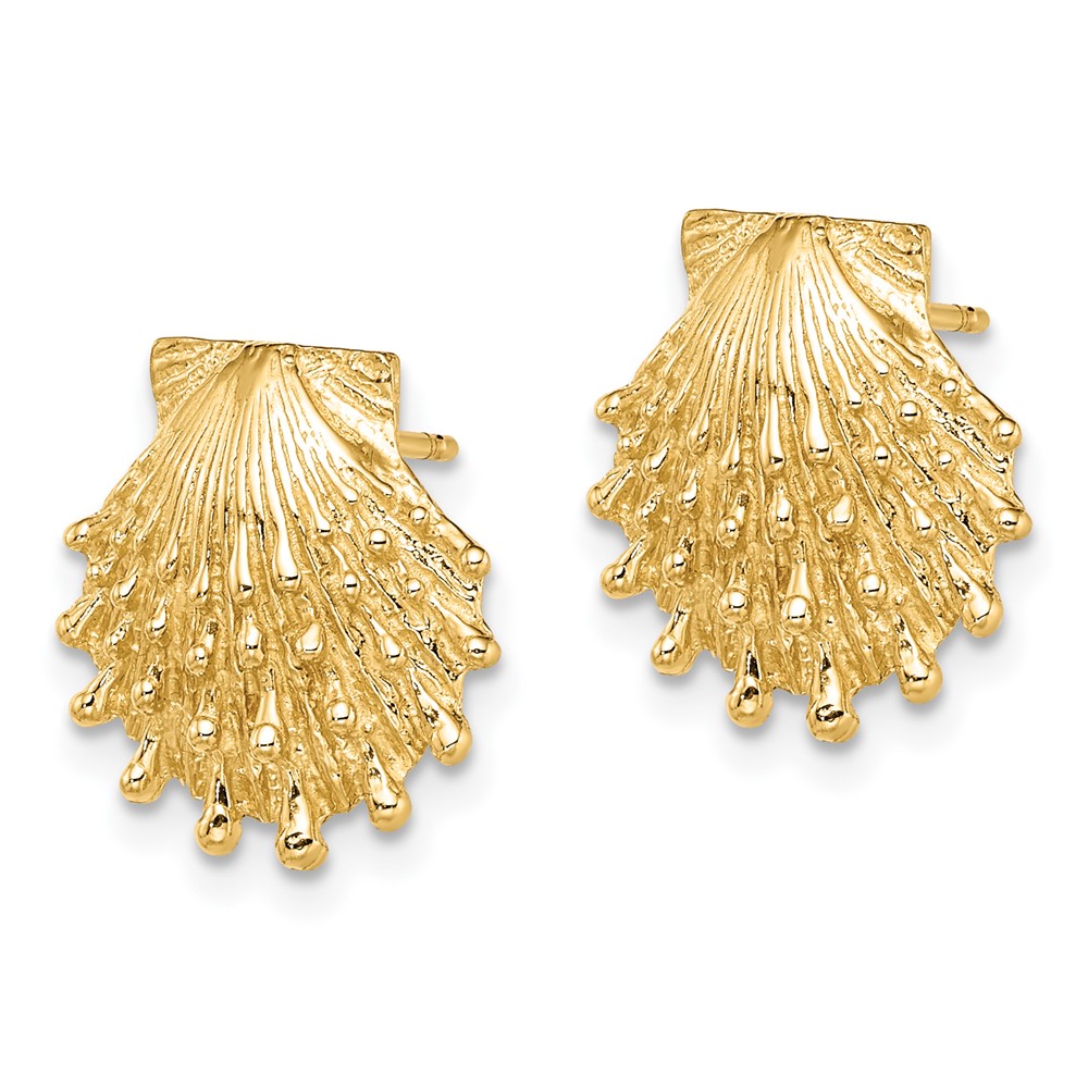 14K Lion's Paw Shell Post Earrings (TE831)