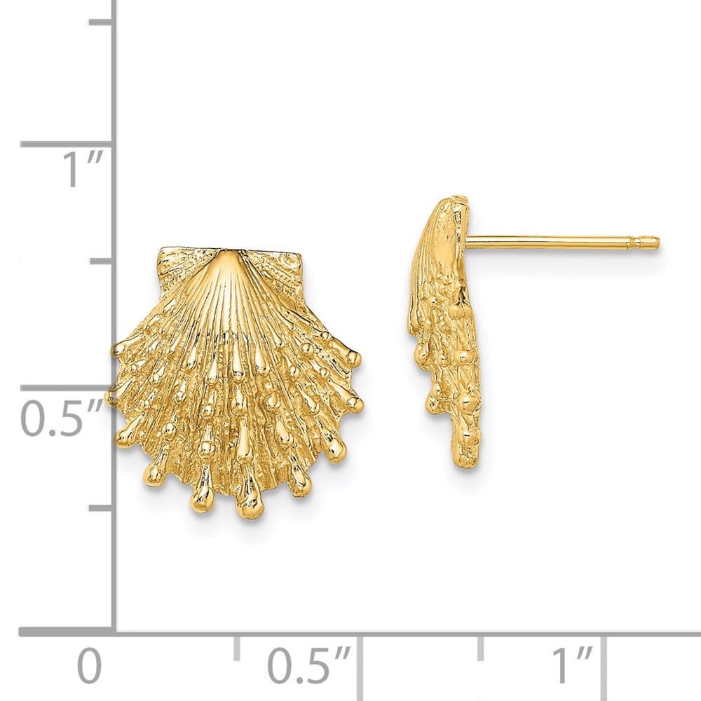 14K Lion's Paw Shell Post Earrings (TE831)