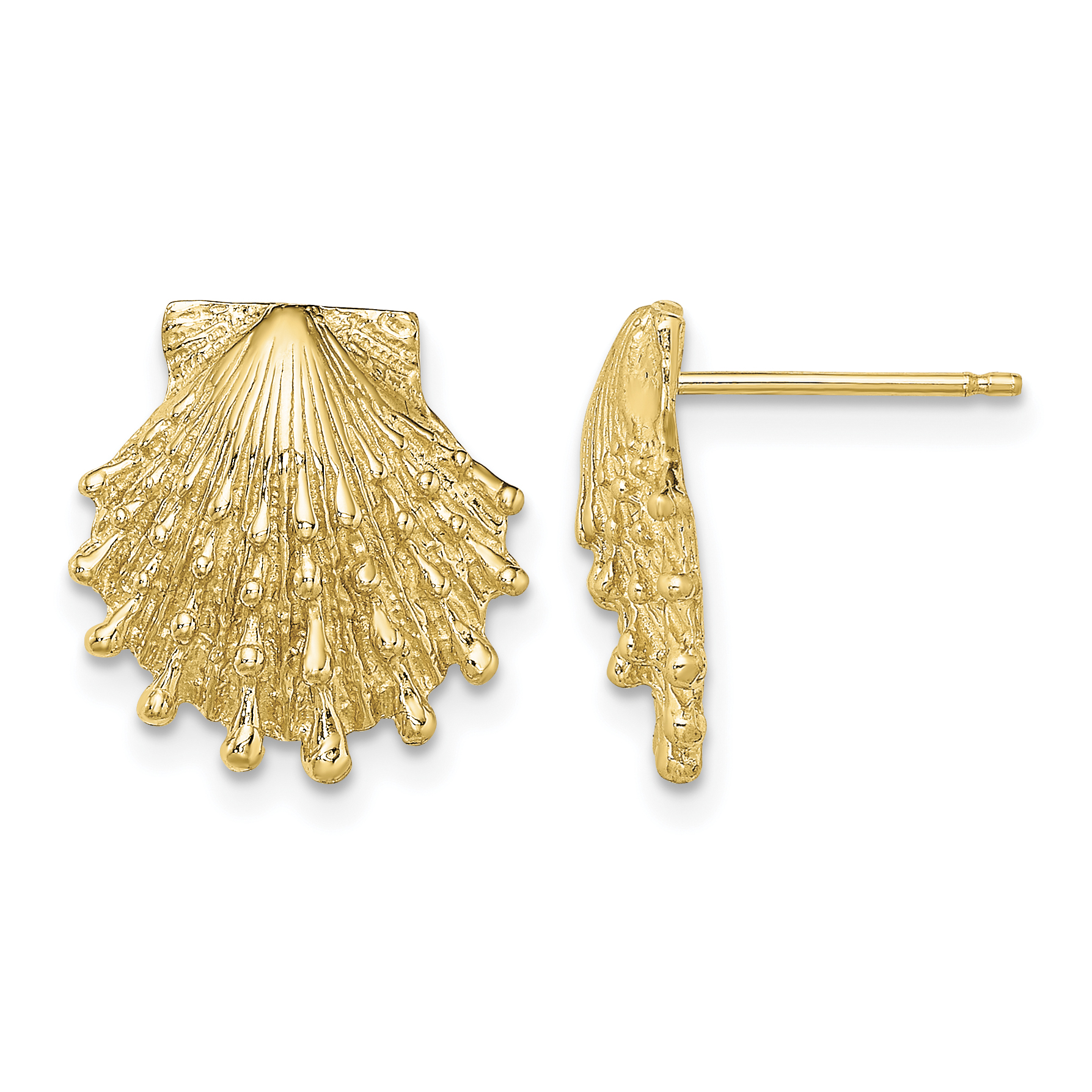 14K Lion's Paw Shell Post Earrings (TE831)