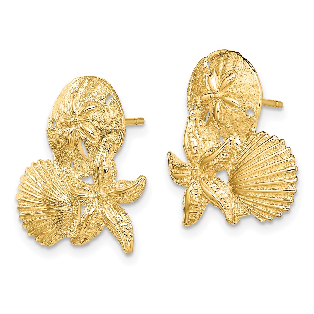 14K Sand Dollar, Starfish, ,Scallop Cluster Post Earrings (TE837)