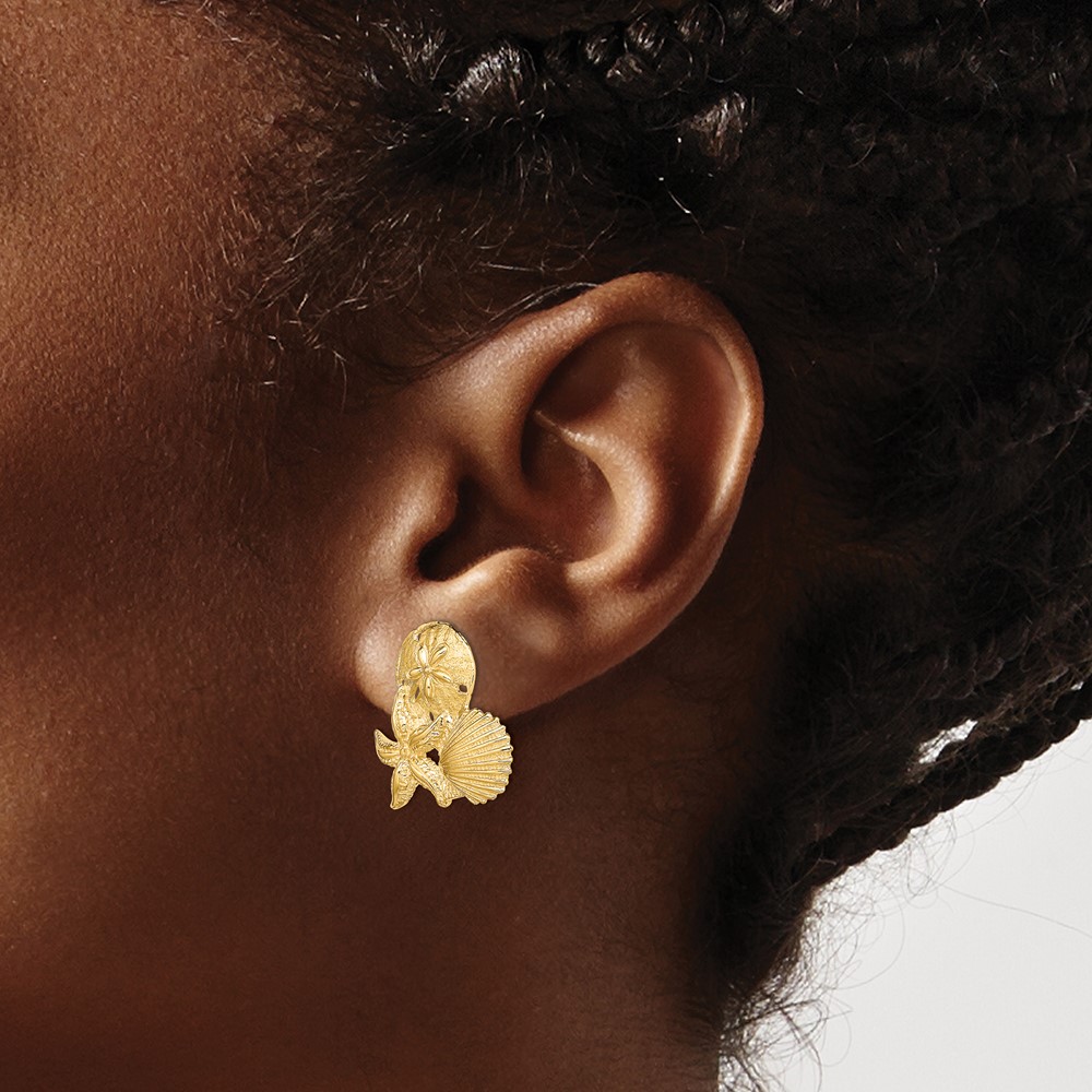 14K Sand Dollar, Starfish, ,Scallop Cluster Post Earrings (TE837)