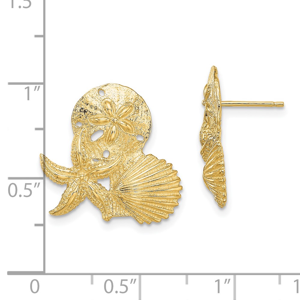 14K Sand Dollar, Starfish, ,Scallop Cluster Post Earrings (TE837)