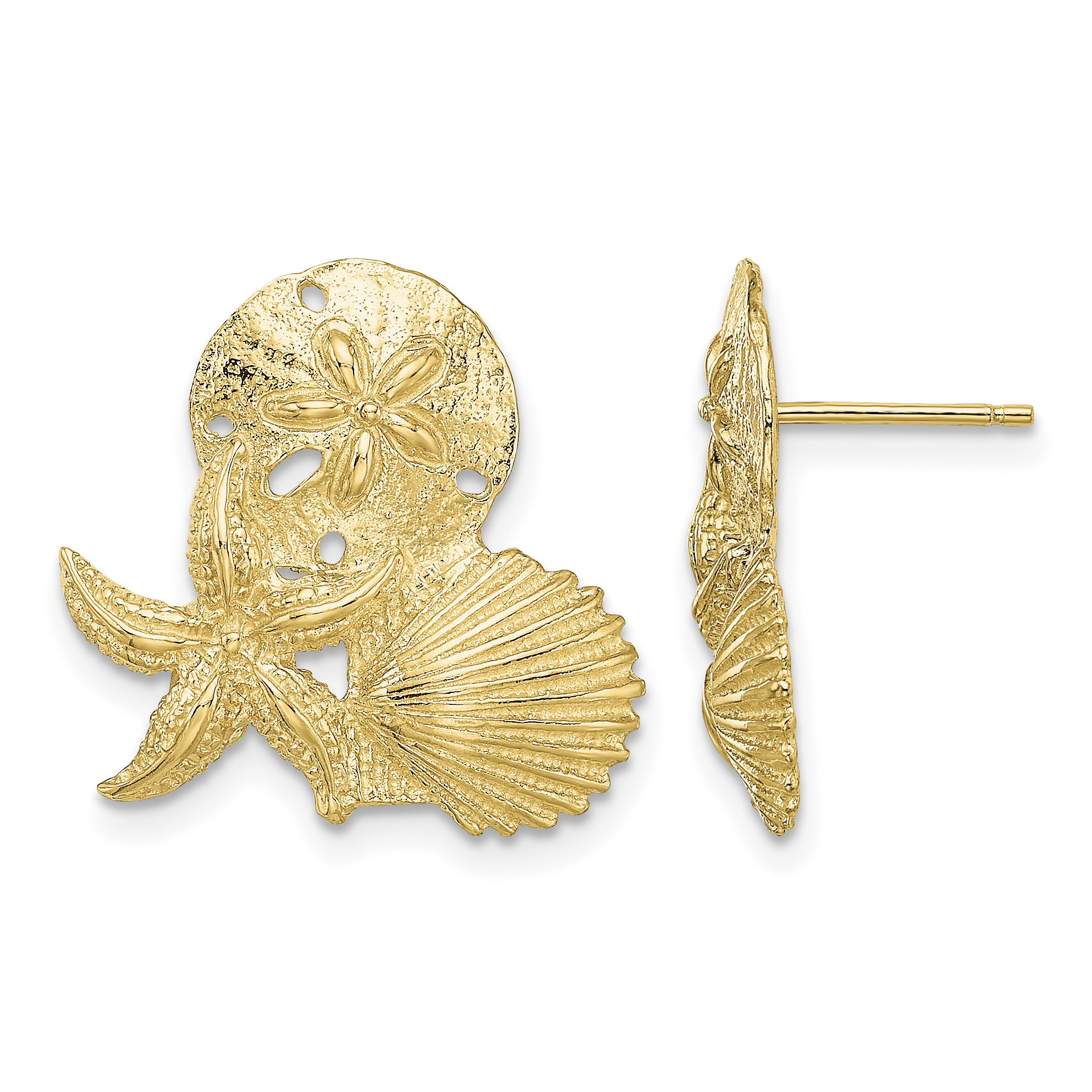 14K Sand Dollar, Starfish, ,Scallop Cluster Post Earrings (TE837)