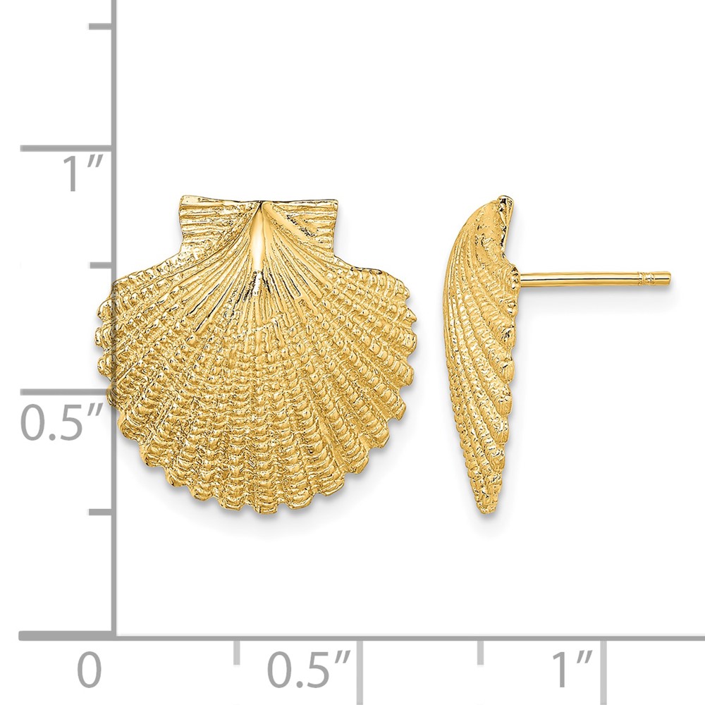 14K 2-D Textured Scallop Shell Post Earrings (TE840)