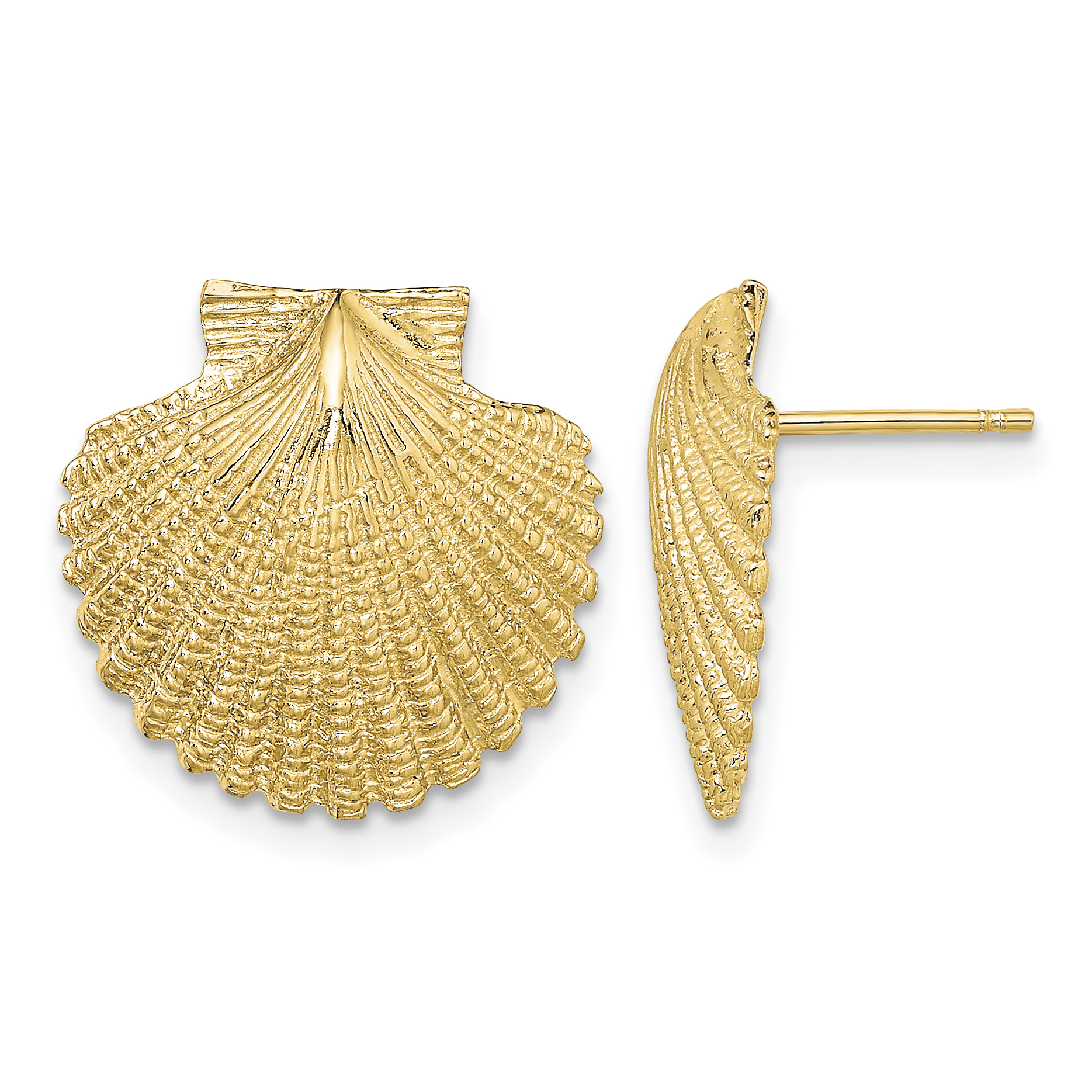 14K 2-D Textured Scallop Shell Post Earrings (TE840)