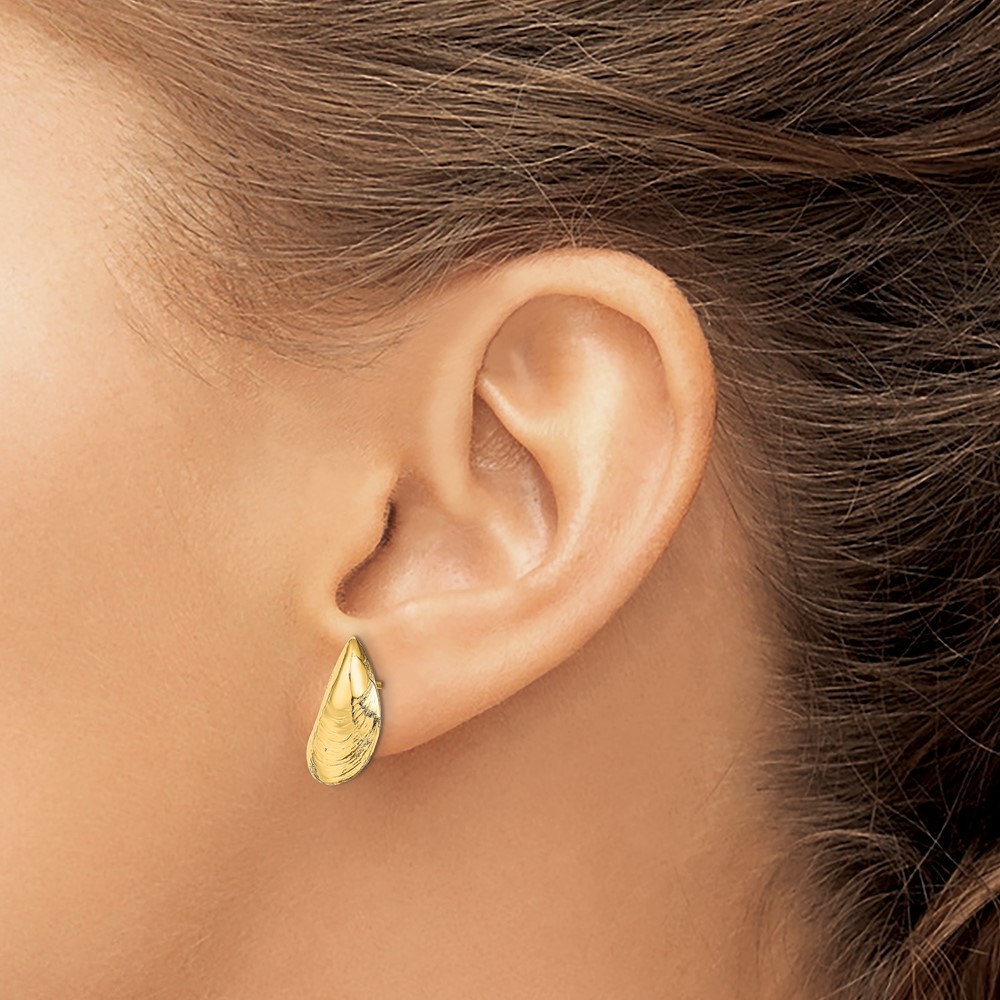 14K Mussel Shell Post Earrings (TE854)