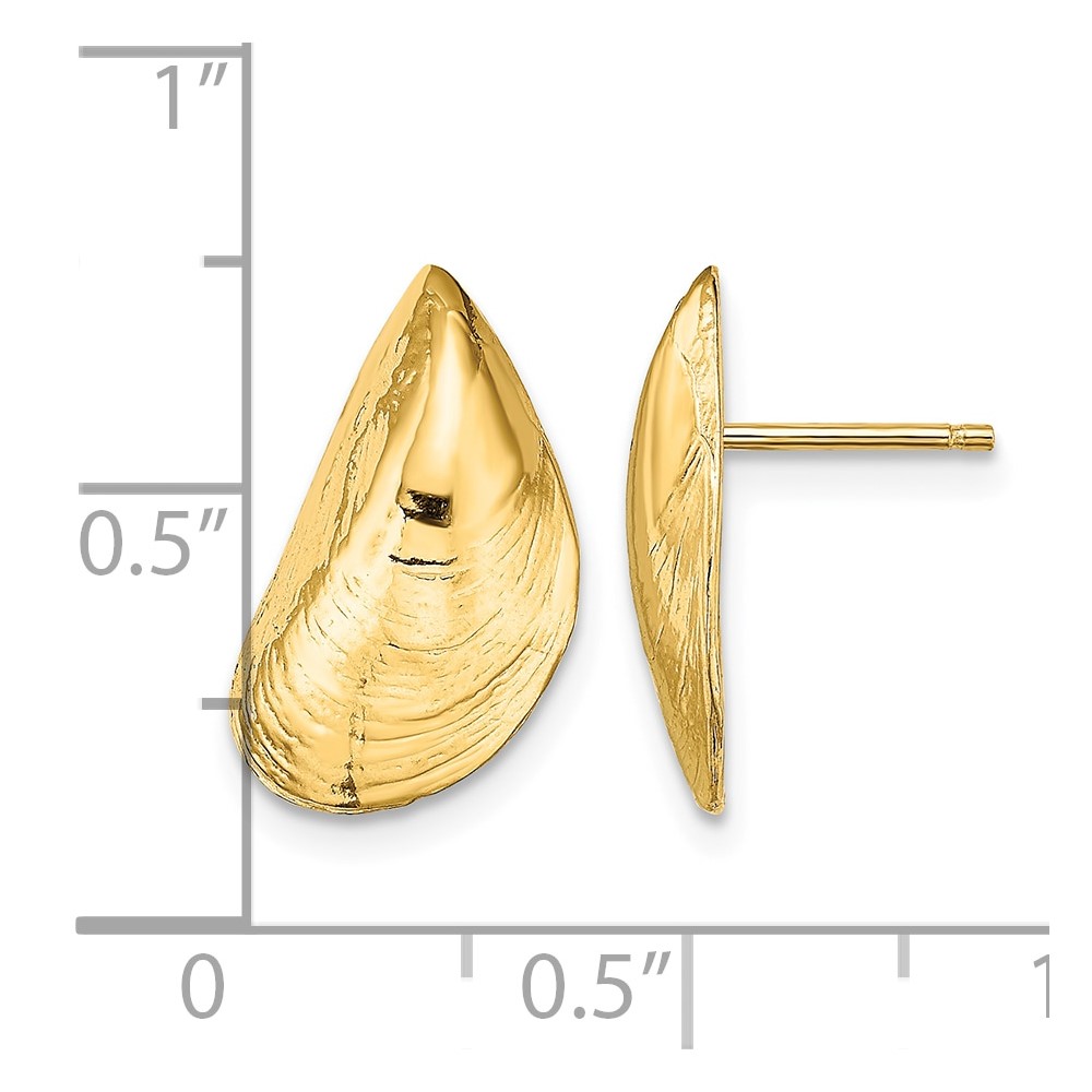 14K Mussel Shell Post Earrings (TE854)