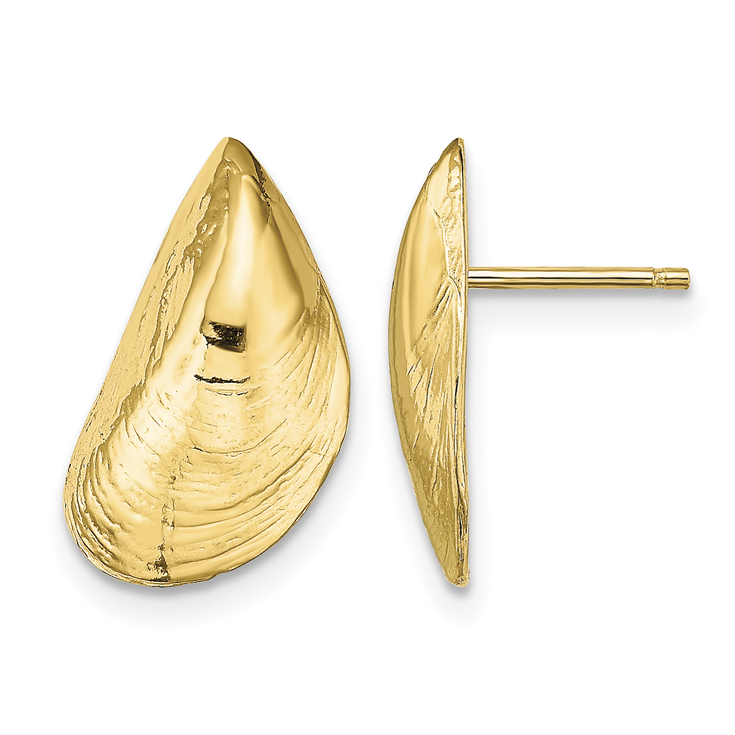 14K Mussel Shell Post Earrings (TE854)