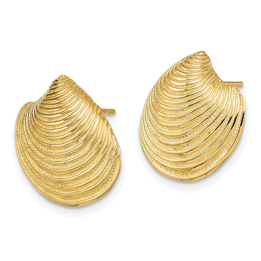 14K 2-D Textured and Polished Clam Shell Post Earrings (TE859)