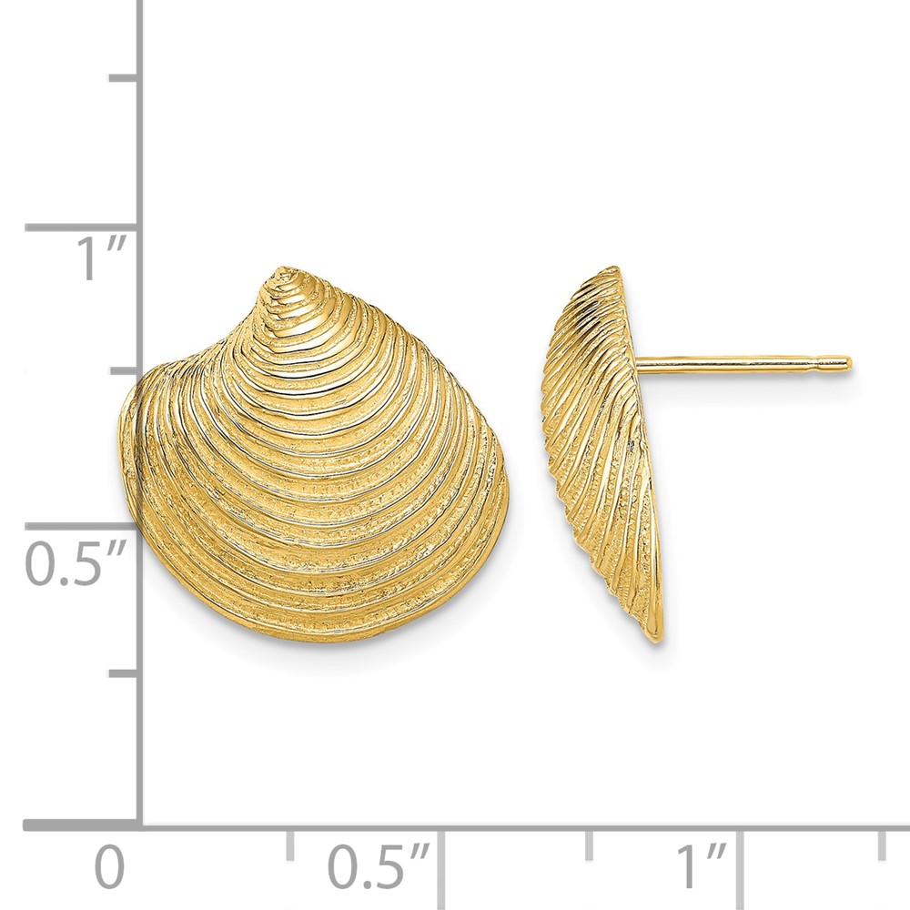 14K 2-D Textured and Polished Clam Shell Post Earrings (TE859)