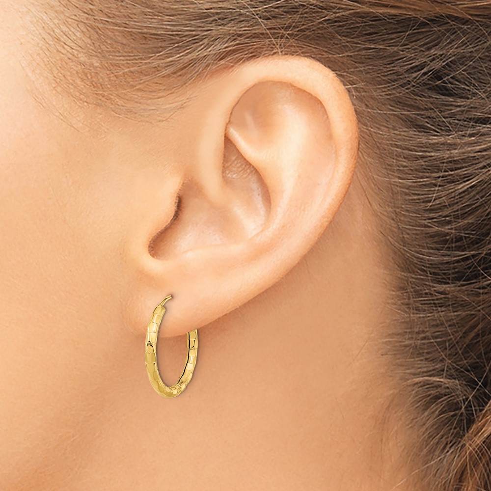 14k Gold Polished Faceted 2.5mm Hoop Earrings (TF1008)