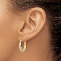14K White Rhodium Polished Satin Diamond-cut Hoop Earrings view 3
