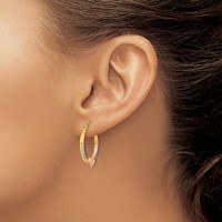 14K Two-tone Earrings with White Rhodium D C Heart Hoop view 3