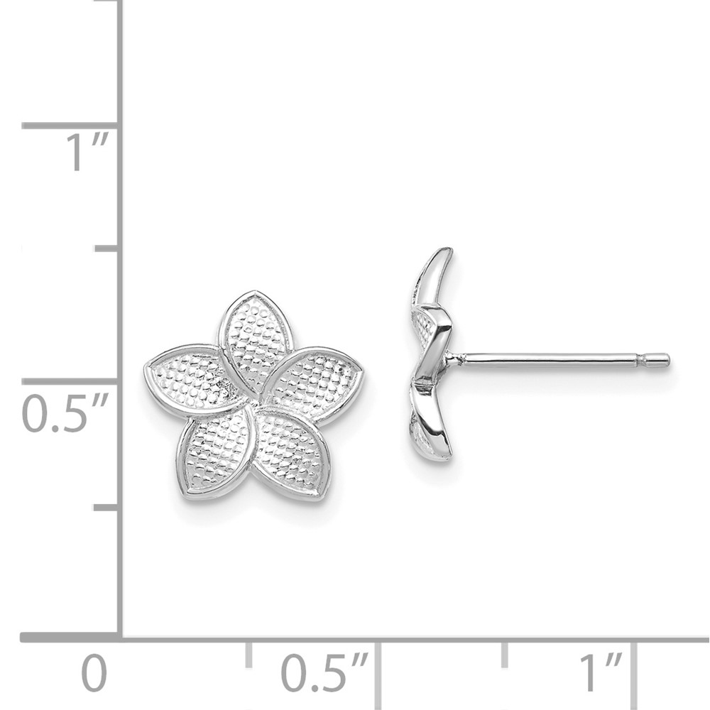 14K White Polished & Textured Plumeria Post Earrings (TF1564)