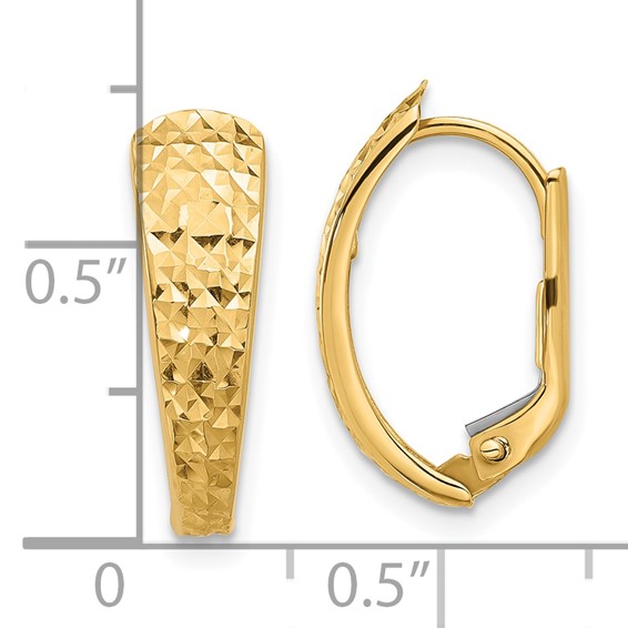 14K Polished and Diamond-cut Leverback Earrings