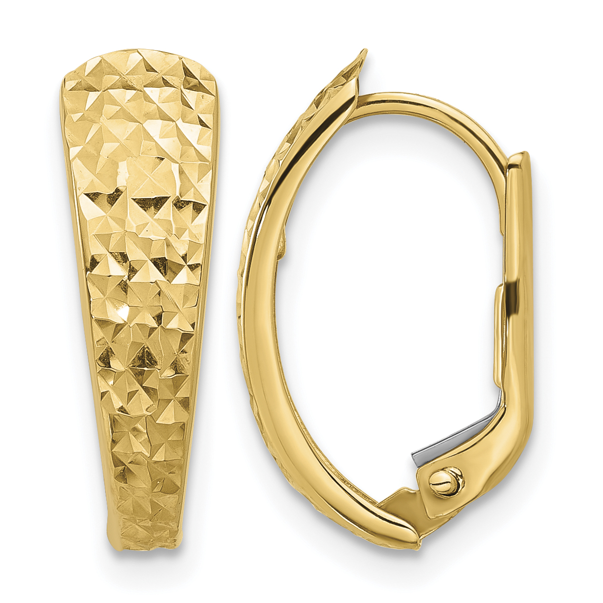 14K Polished and Diamond-cut Leverback Earrings (TF2283)