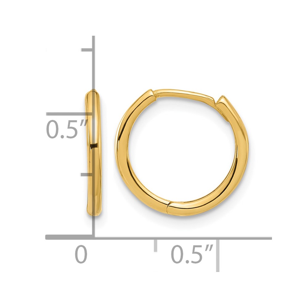 14K Polished Hinged Hoop Earrings (TF2301)