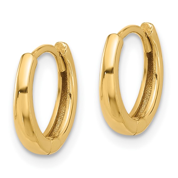 Gold Hinged Hoop Earrings