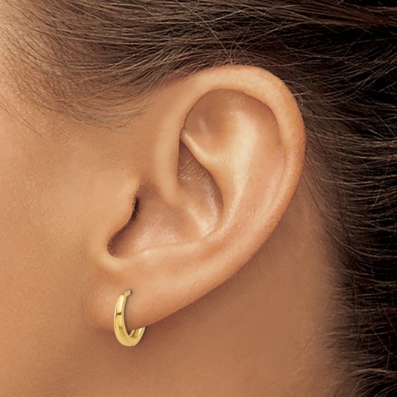 Gold Hinged Hoop Earrings