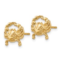 14K Yellow Gold Polished Crab Post Earrings view 2