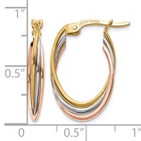 14K Tri-Color Polished Oval Hoop Earrings view 4