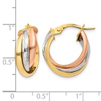 14K Tri-color Polished Hoop Earring view 3