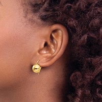 14K 10.50mm Yellow Gold Hollow Half Ball Kidney Wire Earrings view 3