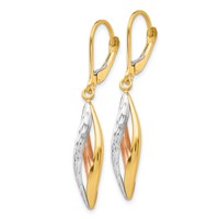 14K Two-tone Earrings with White Rhodium Diamond-cut Twist Dangle Leverback view 2