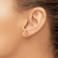14K Rose Rhodium Earrings with Yellow Gold Post Satin Diamond-cut Plumeria view 3