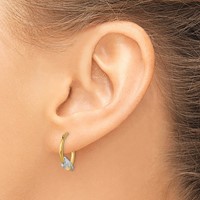 14K & Rhodium Dolphin Hoop Earrings view 3
