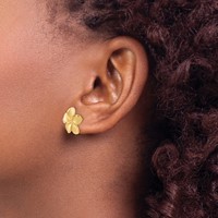 14K Yellow Gold Satin Diamond-cut Plumeria Post Earrings view 3