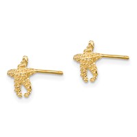 14K Polished and Textured Starfish Post Earrings view 2