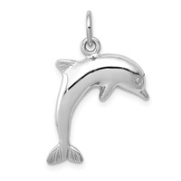 14K White Gold Dolphin Charm view 1