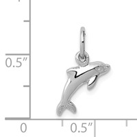 14K White Gold Dolphin Charm view 3