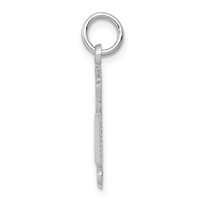 14K White Gold RN Registered Nurse Charm view 2