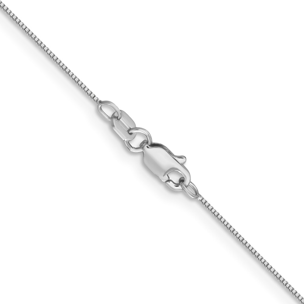 14K White Gold 28 inch .5mm Box with Lobster Clasp Chain (WLB040L-28)