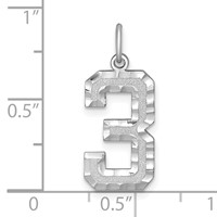 14K White Gold Large Brushed Diamond-cut Number 3 Charm view 3