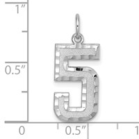 14K White Gold Large Brushed Diamond-cut Number 5 Charm view 3