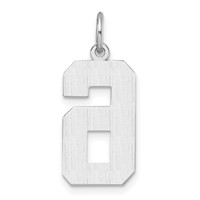 14K White Gold Large Brushed Diamond-cut Number 6 Charm view 4