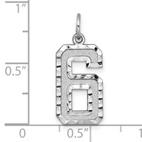 14K White Gold Large Brushed Diamond-cut Number 6 Charm view 3