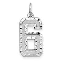 14K White Gold Large Brushed Diamond-cut Number 6 Charm view 1