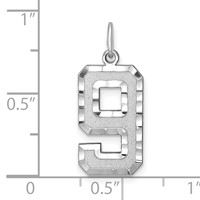 14K White Gold Large Brushed Diamond-cut Number 9 Charm view 3