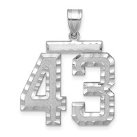 14K White Gold Large Brushed Diamond-cut Number 43 Charm view 1