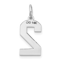 14K White Gold Medium Satin Number 2 Charm view 4