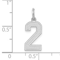 14K White Gold Medium Satin Number 2 Charm view 3