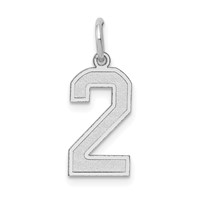 14K White Gold Medium Satin Number 2 Charm view 1